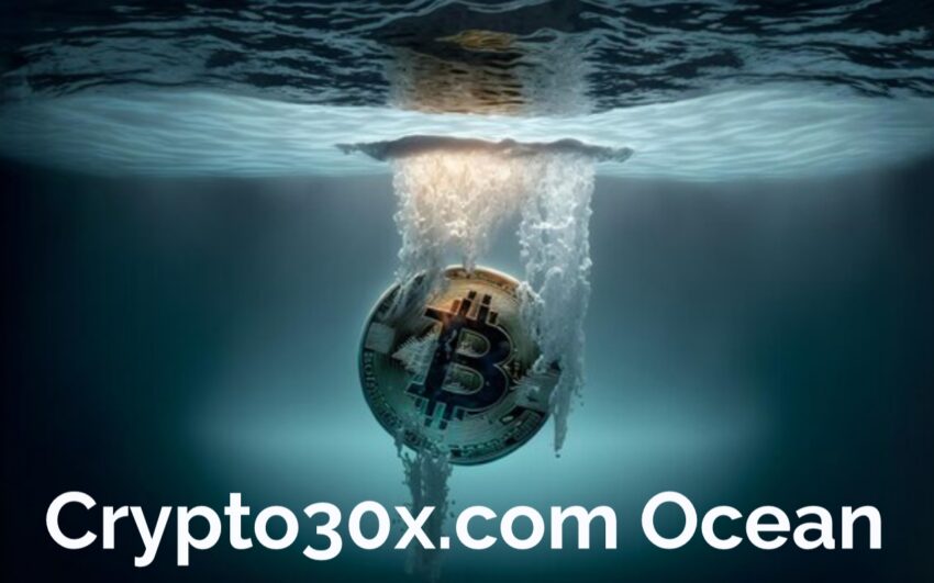 Crypto30x.com Ocean: What is it and How Does it Work?